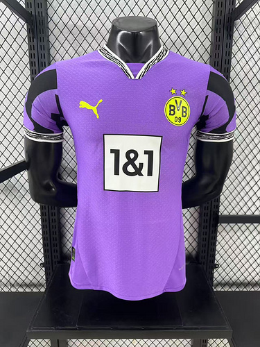 2025-26 Dortmund Goalkeeper Shirt - Player