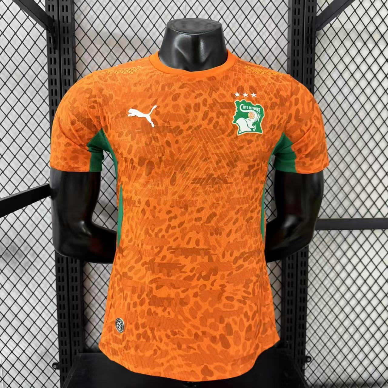 2026-27 Ivory Coast Home Jersey – Player Version 1