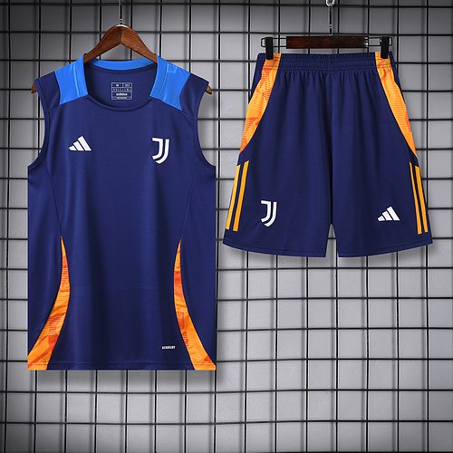 2024-25 Juventus training vest jersey 1