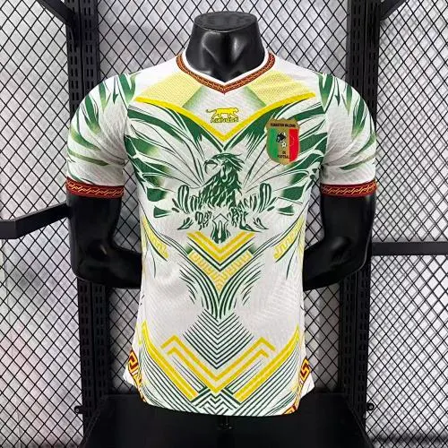 2025-26 Mali Home and Away Jerseys - Player Version 1
