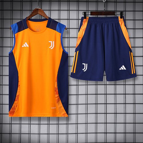 2024-25 Juventus training vest jersey 1